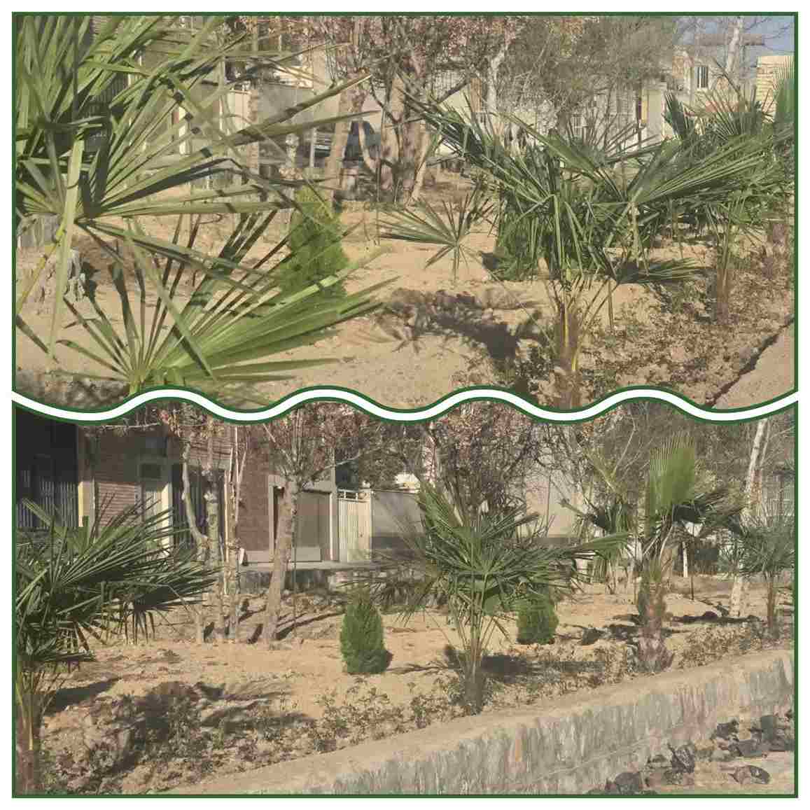 🌿 ساماندهی و بهسازی فضای سبز