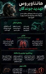هشدار بهداشتی – بیماری هانتا ویروس