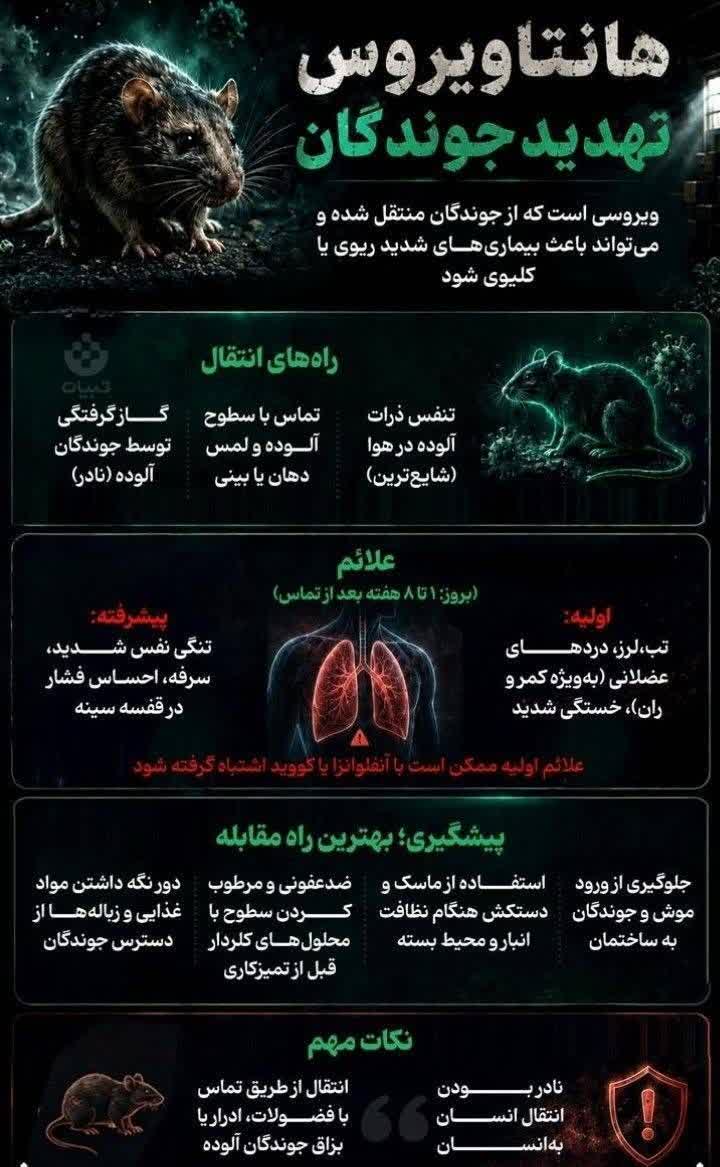 هشدار بهداشتی – بیماری هانتا ویروس